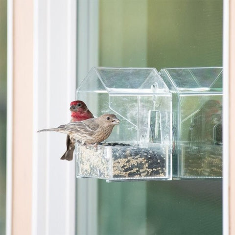Mangeoire d'oiseaux transparente