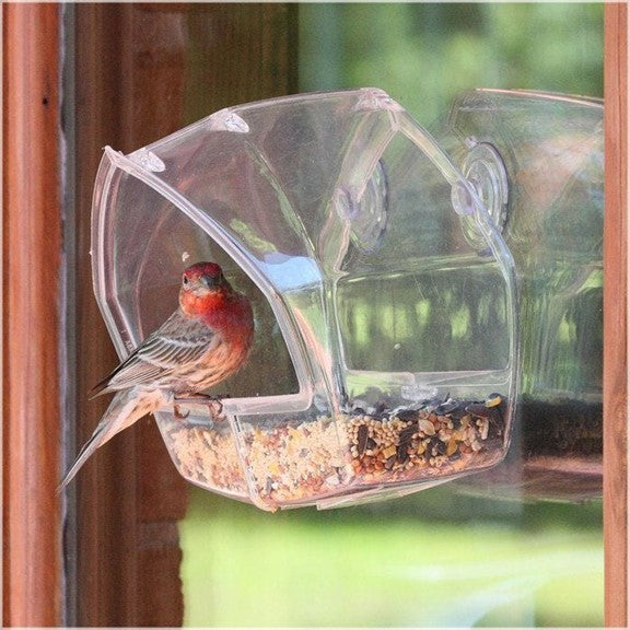 Mangeoires d'oiseaux extérieures transparentes montées sur fenêtre avec  ventouses solides, acrylique transparent, mangeoire pour oiseaux sauvages  pour