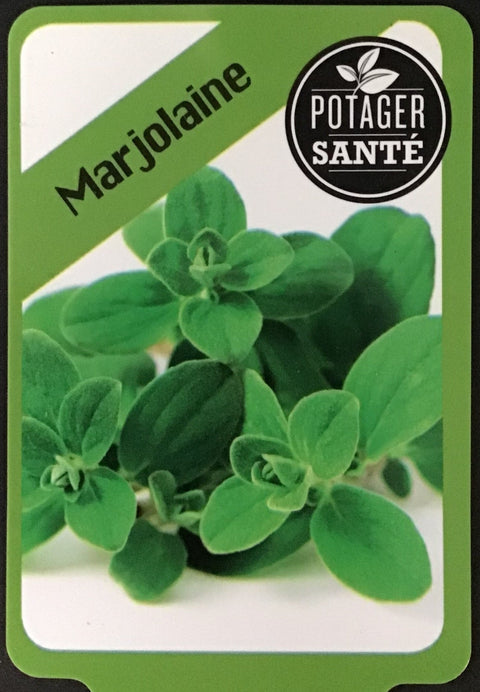 Marjolaine / Potager Santé