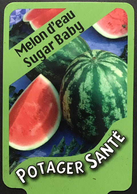 Melon d'eau rouge / Potager Santé