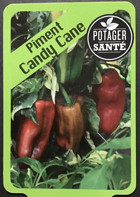 Piment Candy cane / Potager Santé