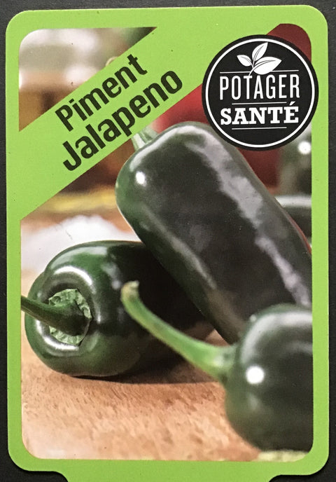 Piment Jalapeno / Potager Santé
