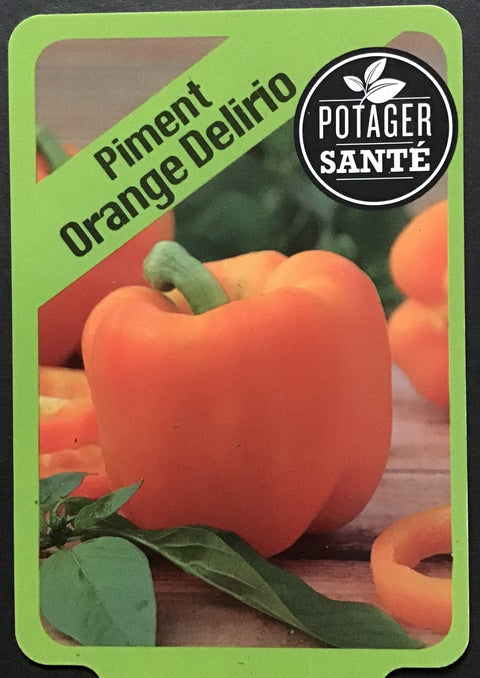 Piment orange / Potager Santé