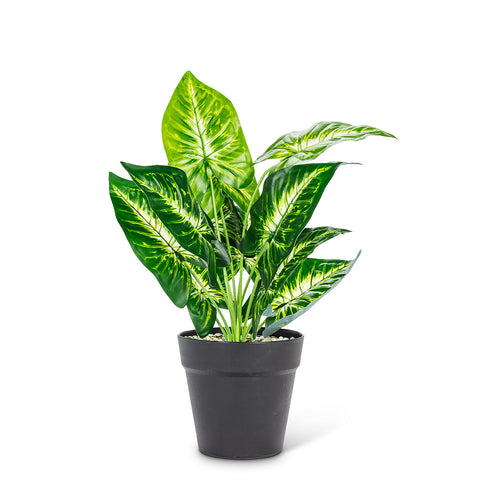 Plante artificielle à feuilles panachées