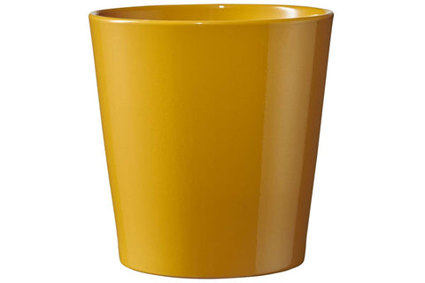 Pot Dallas Breeze jaune