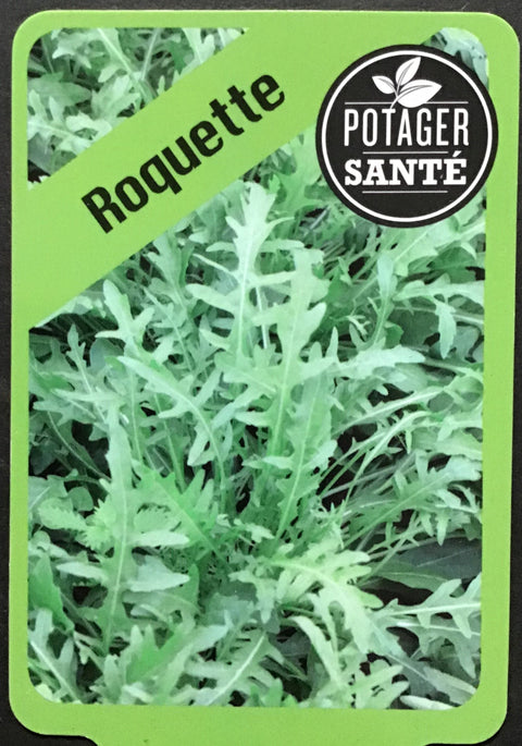Roquette / Potager Santé