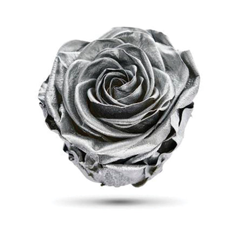 Rose éternelle argent métallique