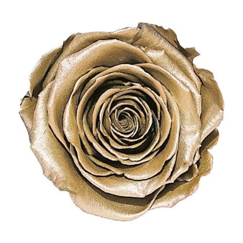 Rose éternelle or métallique