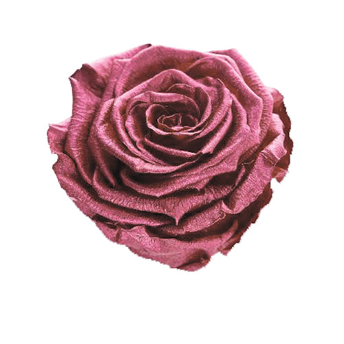 Rose éternelle rose foncé métallique