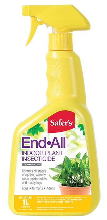 Insecticide End-All plante d'intérieure