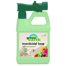 Savon insecticide Green Earth