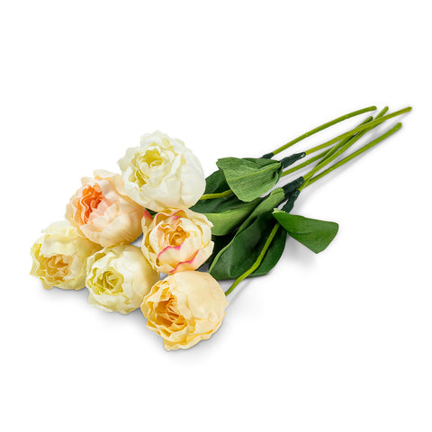 Tige de tulipe blanche