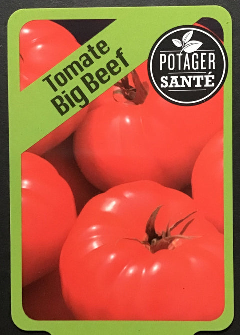 Tomate Big Beef / Potager Santé
