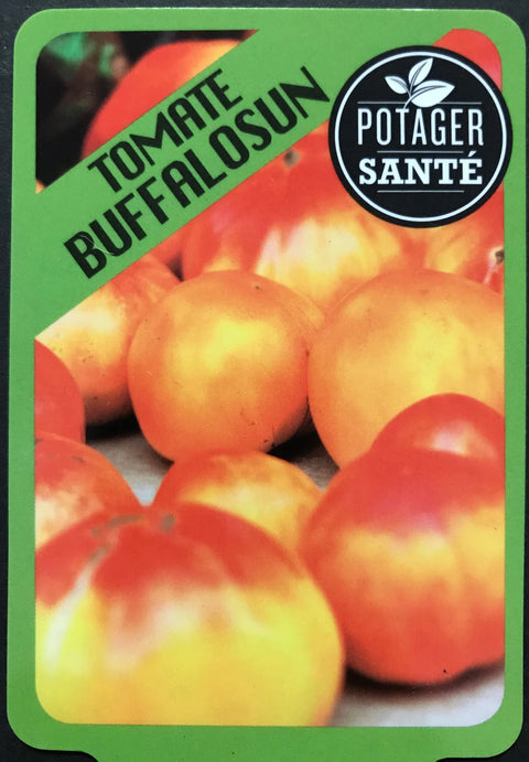 Tomate Buffalosun / Potager Santé