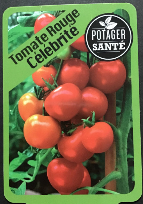Tomate Célébrité / Potager Santé