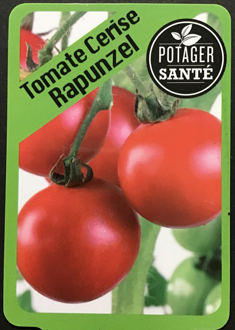 Tomate cerise Rapunzel / Potager Santé