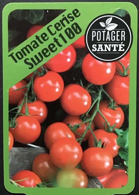 Tomate cerise Sweet 100 / Potager Santé