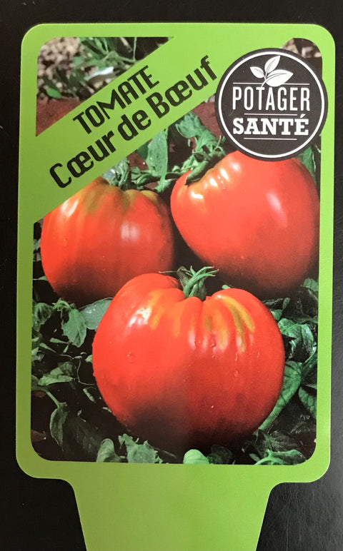 Tomate Coeur de Boeuf / Potager Santé
