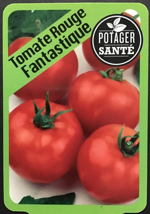 Tomate Fantastique / Potager Santé