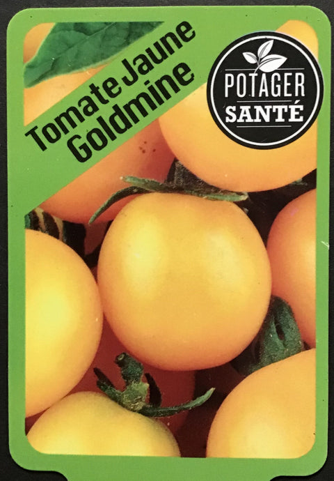 Tomate Goldmine / Potager Santé