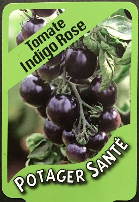 Tomate Indigo Rose / Potager Santé