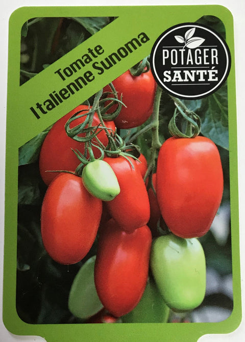 Tomate Italienne / Potager Santé