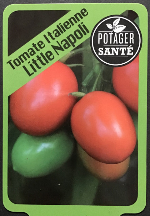 Tomate cerise Little Napoli / Potager Santé