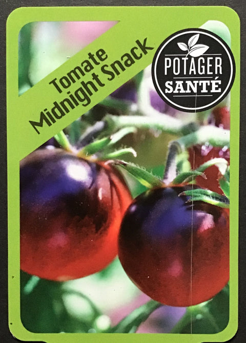 Tomate cerise Midnight snack / Potager Santé