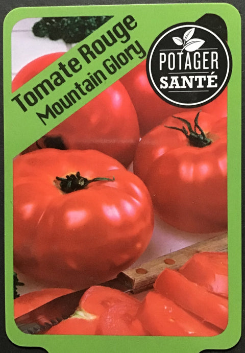 Tomate Mountain Glory / Potager Santé