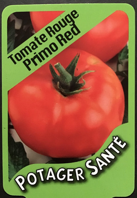 Tomate Primo red / Potager Santé