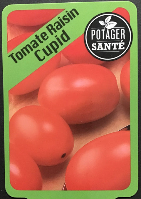 Tomate cerise Cupid / Potager Santé