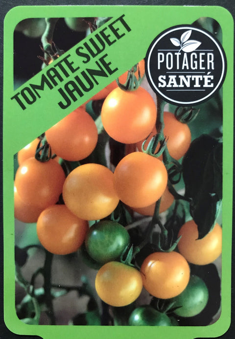 Tomate cerise sweet jaune / Potager Santé