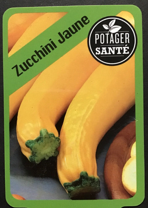 Zucchini Jaune / Potager Santé